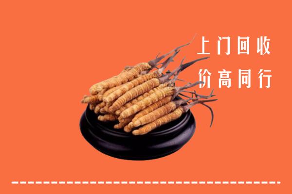 高价求购：黎川县回收散虫草
