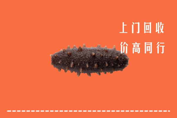 高价求购：黎川县回收海参